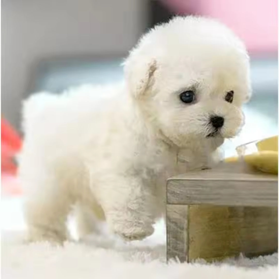 PawPal Pro | Verklighetstrogen robotvalp