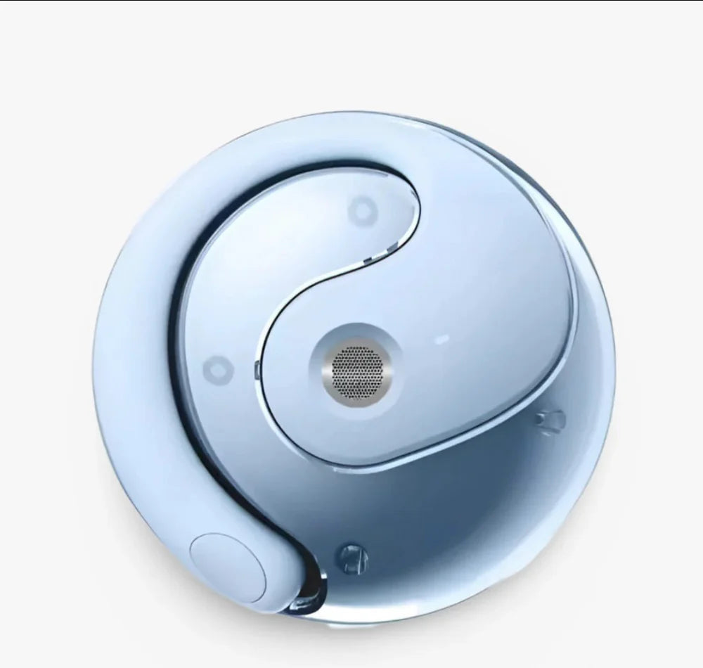 Talk Tech™ Översättnings-Earbuds