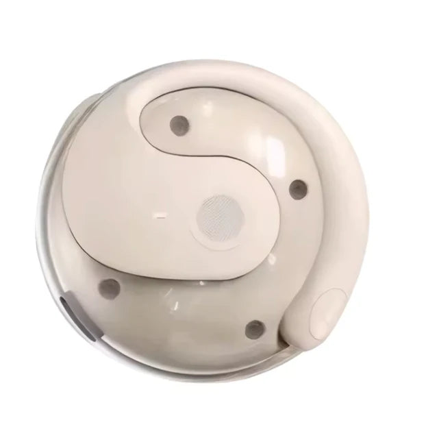 Talk Tech™ Översättnings-Earbuds