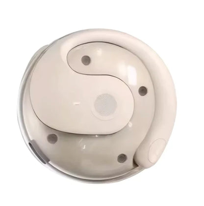 Talk Tech™ Översättnings-Earbuds